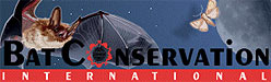Bat Conservation International Website